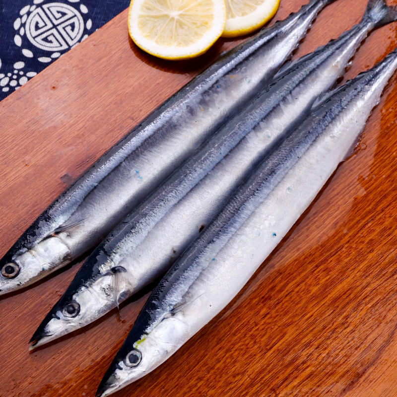 赛卡伊 秋刀鱼新鲜冷冻大号鲜活海捕深海鱼日式秋刀鱼烧烤即食食材