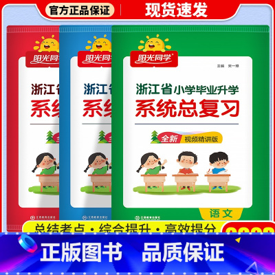 [浙江版]语文+数学+英语 3本套 小学升初中 [正版]2024版阳光同学小学毕业小升初系统总复习语文数学英语科学浙江版