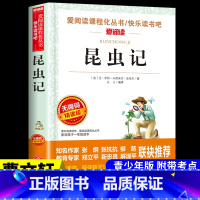 [附带考点]昆虫记 [正版]十万个为什么苏联米伊林小学版四年级下册阅读课外书必读的书目快乐读书吧全套人教版下百科全书非人