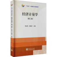 音像经济计量学(第2版)李占凤,胡淑兰 编