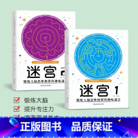 [2本]迷宫1+迷宫2 [正版]左右脑思维专注力迷宫大挑战幼儿园高难度迷宫魔线小学生益智游戏3-6-7-8-10岁儿童走