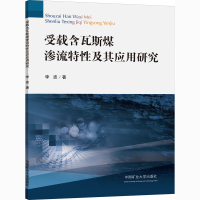 音像受载含瓦斯煤渗流特及其应用研究李波