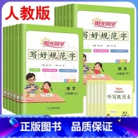 写好规范字 六年级上 [正版]阳光同学写好规范字1一2二3三4四5五六年级下册上册语文同步字帖写字课课练小学生听写本描红