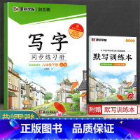 八年级下册(赠默写训练本) [正版]2024版字帖写字同步练习册一年级二年级三年级四年级五六七八九年级人教版上册下册笔顺