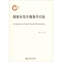 音像胡塞尔发生现象学引论李云飞