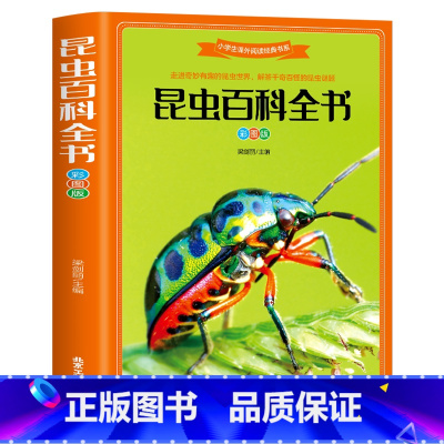 昆虫百科全书 [正版]昆虫百科全书 3本28元彩图注音版小学生一二三年级课外读物儿童版带拼音青少年版小学课外书少儿彩图课
