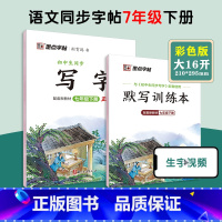 [语文临摹]七年级下册(送默写训练本) 七年级/初中一年级 [正版]七年级上册语文字帖练字小学生硬笔书法字帖一课一练墨点