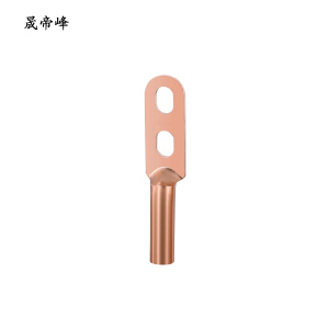 晟帝峰 双孔铜线鼻子 DTS-95 个