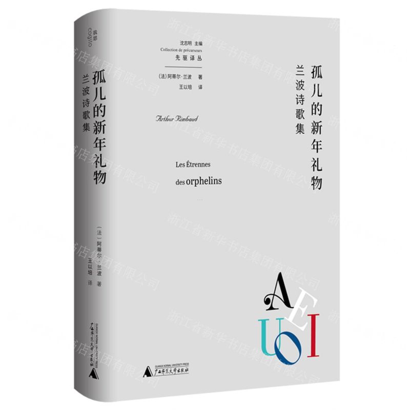 [N]孤儿的新年礼物(兰波诗歌集)/先驱译丛-9787559842749
