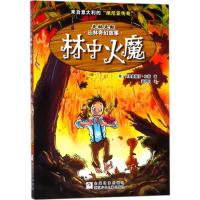 林中火魔/克林克斯丛林奇幻故事