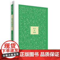 北方的相思