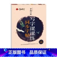 写字课课练同步字帖 5年级下册 [正版]罗扬字帖课堂笔记天天练练字帖人教版同步字帖一课一练硬笔钢笔临摹一二三四五六七八年