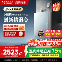 史密斯佳尼特[小精钢TCS5]13升精钢燃气热水器 国家补贴 JSQ26-TCS5 安全守护 持久恒温大水量 新品