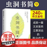 虫洞书简9:给青少年的240个高分作文金句 写作阅读同步提升初中生123年级作文提升高中课外阅读中考高考作文素材大语文课