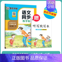 二年级上册[送默写本] [正版]一年级二年级三小学练字帖每日一练同步人教版2024年小学生四五六年级初中生七八年级上册下