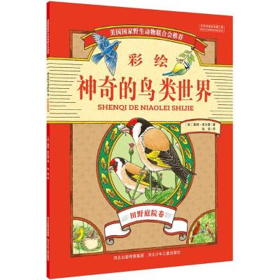 正版新书]神奇的鸟类世界(田野庭院卷)基姆·库尔基97875376946