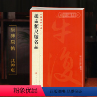 [正版]学海轩 大红袍 共15札赵孟頫尺牍名品手札中国碑帖名品85译文注释繁体旁注赵体赵孟俯行书毛笔字帖陶渊明诗致达观