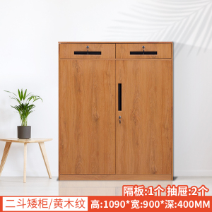 帅畅办公室文件柜资料档案铁皮柜子储物带锁财务铁柜书柜阳台矮柜