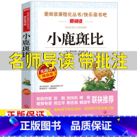 小鹿斑比 [正版]小鹿斑比课外书天地出版社名师导读带批注无障碍精读版儿童小学生青少年版三年级四五六年级上册下册通用立人编