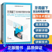 [正版]牙周龈下刮治和根面平整操作技术图解口腔临床操作技术丛书潘亚萍主编牙周组织应用解剖龈下喷砂术内镜辅助治疗书籍人民