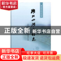 正版 湖北四湖工程志 《湖北四湖工程志》编纂委员会编 中国水利