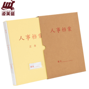 凌美盛 优选PP材质干部人事档案盒 A4新标准 三柱蛇簧夹 35mm背宽RSDA29 可定制/个