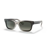 RayBan男士复古方形太阳镜经典设计时尚B棕色镜框