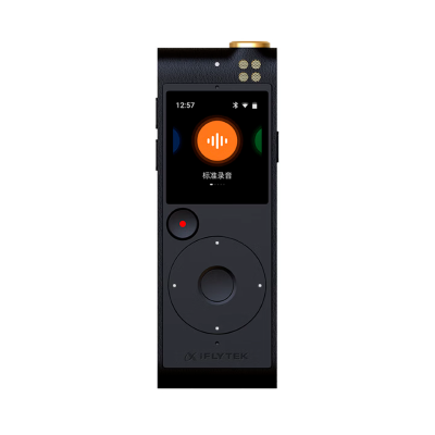 科大讯飞智能录音笔SR201 录音转文字专业级降噪 32G 单位/个