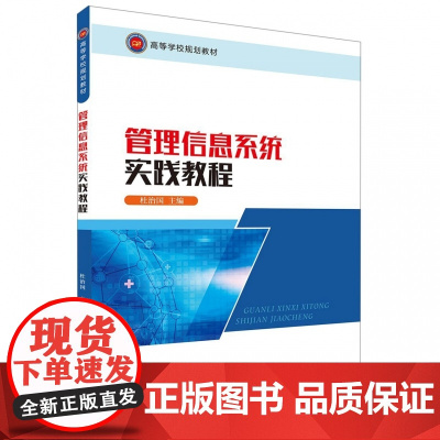 管理信息系统实践教程(高等学校规划教材)