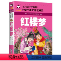 红楼梦 [正版]5本20元 歇后语大全 名校班主任 彩图注音儿童文学6-7-8-9-10岁带拼音小学生语文一二三年级