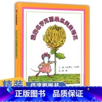 我的名字克丽丝美美菊花 [正版]精装硬壳 我的名字克丽桑丝美美菊花儿童绘本2-3-4-5-6岁幼儿园老师小中大班亲子阅读
