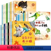 [全30册]获奖名家绘本系列①+②+③ [正版]名家获奖一年级阅读课外书适合小学1年级看的课外书注音版3–5一6岁以上孩
