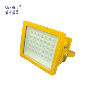 盛王盛荣 LED 防爆照明灯