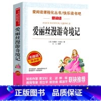 爱丽丝漫游奇境 [正版]城南旧事 林海音原著完整版名著儿童文学三四五六年级中小学生课外书籍老师骆驼的样子小英雄雨来宝葫芦