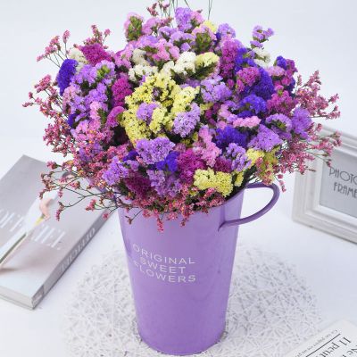 三维工匠云南勿忘我满天星干花花束鲜花真花批发插花装饰客厅摆件花卉礼物混色（颜色可选）+红水晶一斤加花瓶