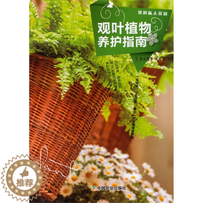 [醉染正版]正版 观叶植物养护指南 我的私人花园系列 家庭花卉植物养殖宝典 养花入门指南 家庭观赏植物种植手册