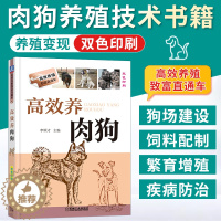 [醉染正版]高效养肉狗 养狗书籍 养狗技术大全书籍 肉狗养殖教程技术书 肉狗场的建设选址 肉狗的饲养管理 肉狗疾病防治