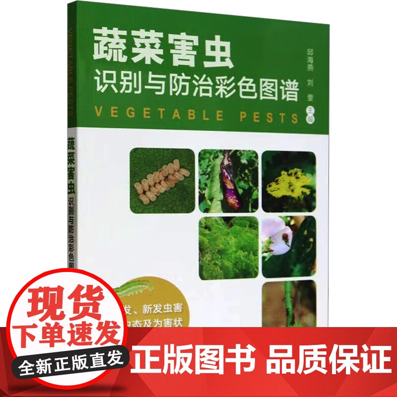 蔬菜害虫识别与防治彩色图谱 邱海燕,刘奎 编著 中国农业出版社9787109309555