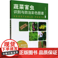 蔬菜害虫识别与防治彩色图谱 邱海燕,刘奎 编著 中国农业出版社9787109309555