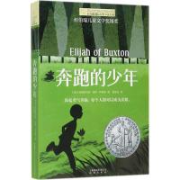 长青藤国际大奖小说·第七辑:奔跑的少年
