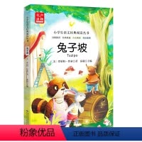 兔子坡 [正版]注音版6册稻草人书小鹿斑比兔子坡爱丽丝全集彩图一年级课外阅读必读书二年级三年级课外书必读小学生儿童故事书