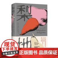 梨地 国际布克奖提名作品 作家型导演娜娜·艾特米什维利现实题材代表作 一个底层女孩的反抗与出走绝境中的女性之歌 译林正版