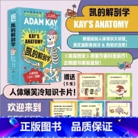 凯的解剖学 [正版]书籍 凯的解剖学 捧腹级别人体常识大讲堂 英式幽默身体冷&热知识合集 从人体到两性从疾病到生死有温度