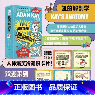 凯的解剖学 [正版]书籍 凯的解剖学 捧腹级别人体常识大讲堂 英式幽默身体冷&热知识合集 从人体到两性从疾病到生死有温度