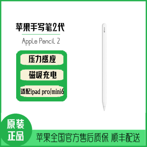 苹果/Apple Pencil 手写笔(第二代)2代 适用于 iPad Pro11/12.9寸 air4 平板触控笔 Pencil二代