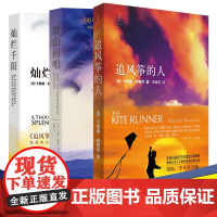 [胡赛尼三部曲3册套装]灿烂千阳 群山回唱 追风筝的人姐妹篇卡勒德胡赛尼著 献给阿富汗女性的故事 中文版 安徽正版
