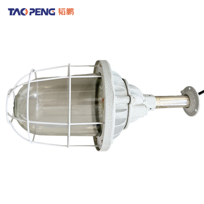 韬鹏 防爆灯 50W 个