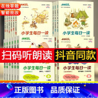 小学生每日一读 4册套装二年级 小学通用 [正版]2023快捷语文小学生每日一读一二三四五六年级春夏秋冬课外阅读书籍语文