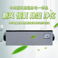 德西森立DSF-30商用别墅地下室办公室吊顶管道式新风净化除湿机抽湿器