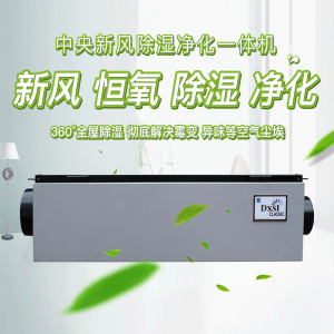德西森立DSF-30商用别墅地下室办公室吊顶管道式新风净化除湿机抽湿器